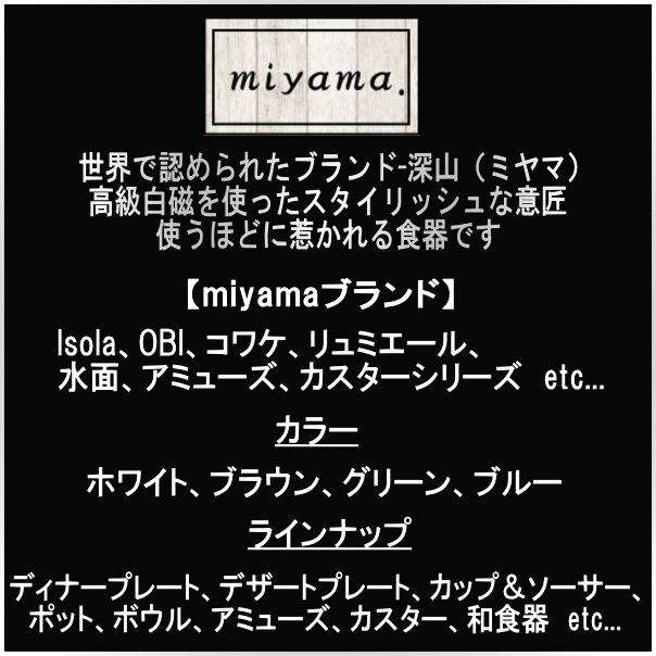 miyama スプーン小皿（アミューズ）　深山（ミヤマ）ブランド　白い陶器磁器の食器　おしゃれな業務用洋食器　スプーンディッシュ　お皿小皿平皿｜deardishbasara｜02