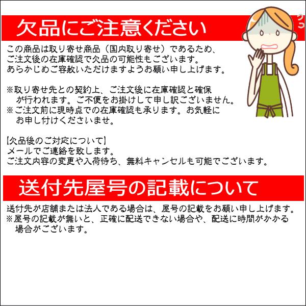 STORIA　20cmプレート　ラスティックホワイト　白　日本製　国内産　おしゃれな業務用食器　お皿大皿平皿　洋食器｜deardishbasara｜03