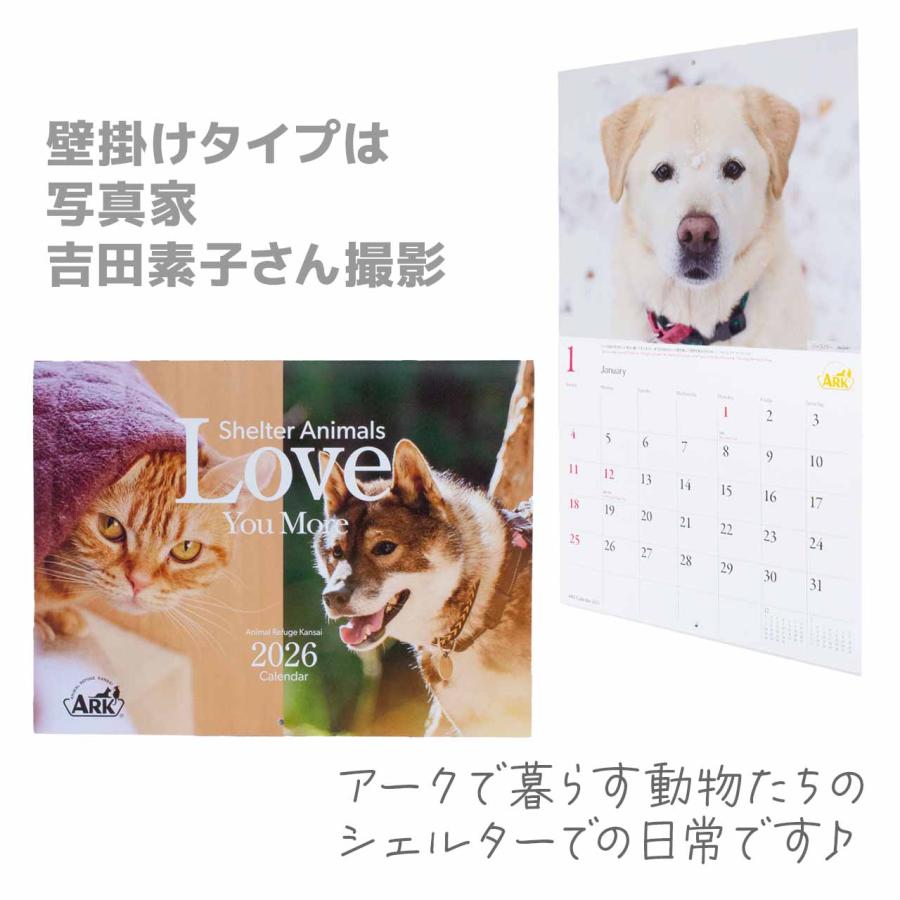ARK アニマルレフュージ関西 壁掛けカレンダー 2026 アーク 保護犬
