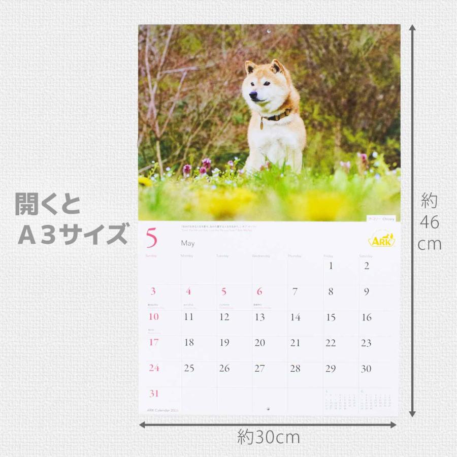 ARK アニマルレフュージ関西 壁掛けカレンダー 2026 アーク 保護犬