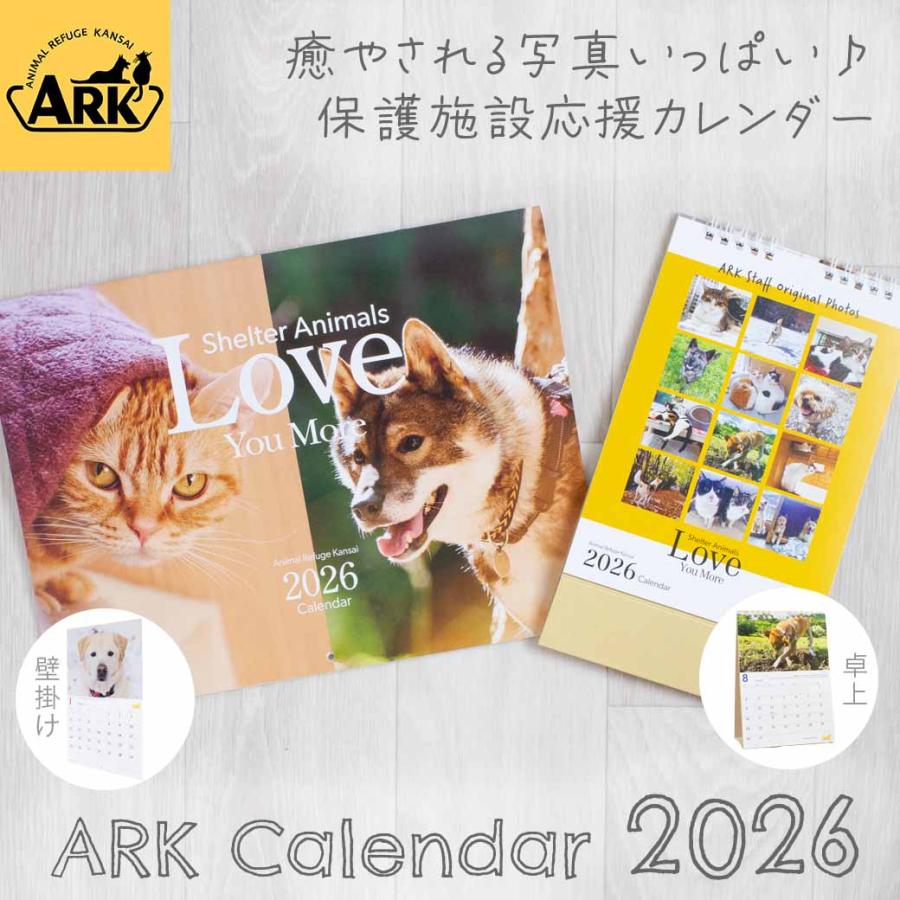 ARK アニマルレフュージ関西 壁掛けカレンダー 2026 アーク 保護犬