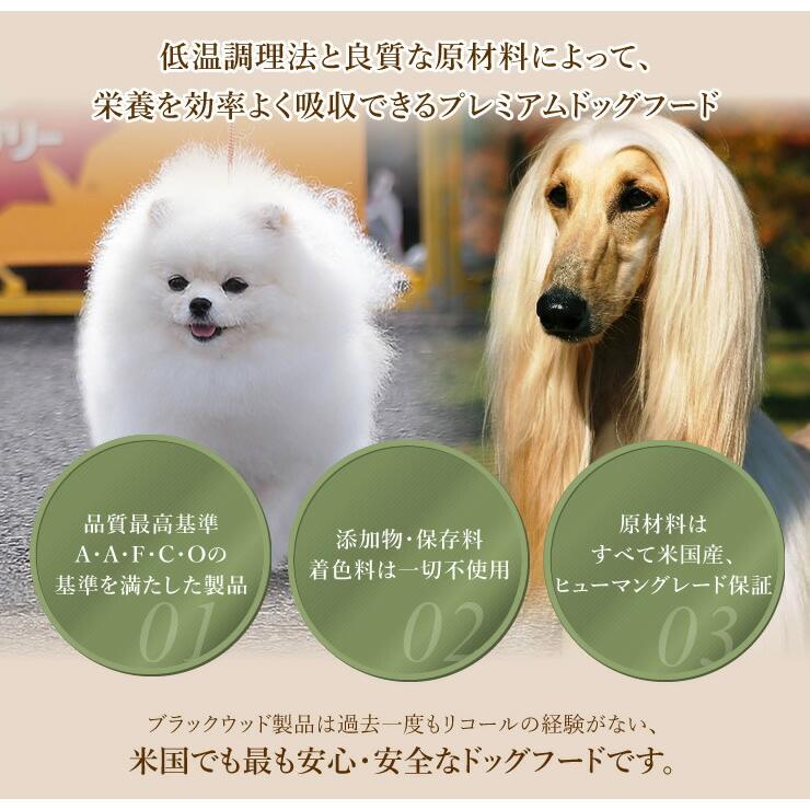 BLACKWOOD（ブラックウッド） ドッグフード 3000 20kg ラム肉 ポイント