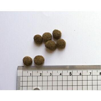 BLACKWOOD（ブラックウッド） ドッグフード ローファット 20kg 5kg×4袋