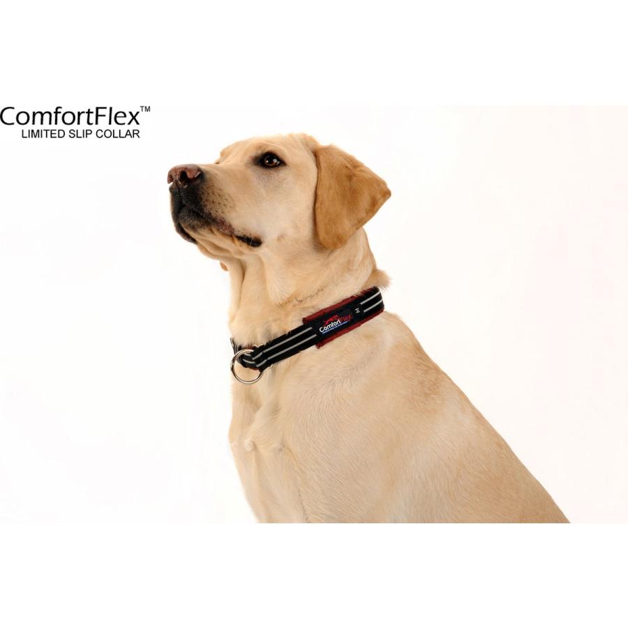 犬 首輪 コンフォートフレックス リミテッドスリップカラー ｓ ｍ ｌ ｘｌサイズ Comfortflex ハーフチョークカラー メール便ok 輸入 しつけ用首輪 サイズ ｓ Www Mantraman Com Mx