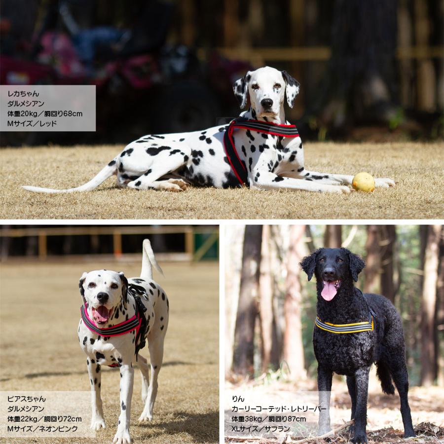 ComfortFlex 【在庫限り】クッション付き コンフォートフレックス