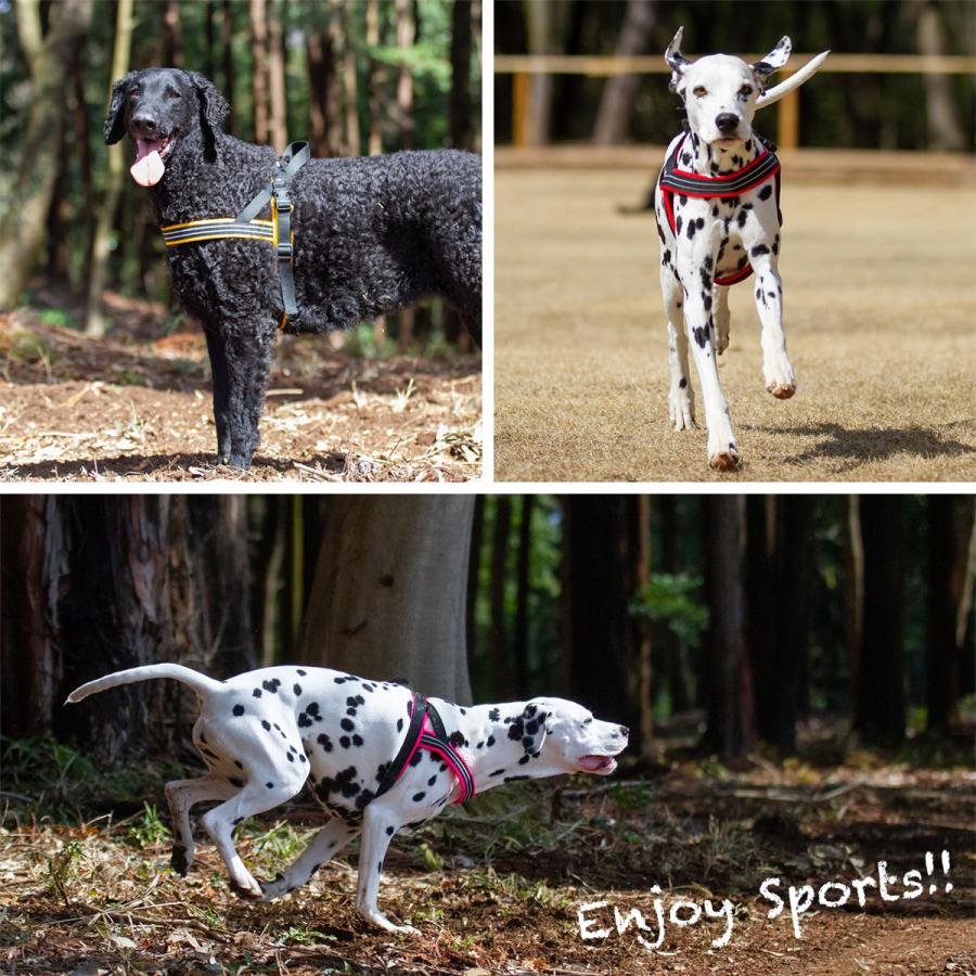 ComfortFlex クッション付き コンフォートフレックス スポーツハーネス