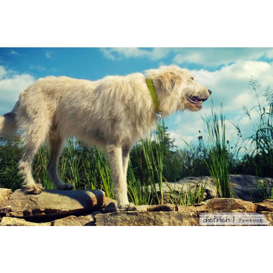 アースドッグ デコラティブヘンプ リード 2.5cm幅×長さ約180cm 輸入 earthdog リード 天然素材 麻 ヘンプ 海外ブランド_9