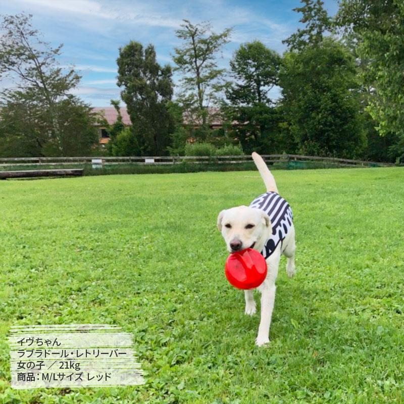 KONG（コング） ジャンブラー ボール M/Lサイズ 中型犬 大型犬