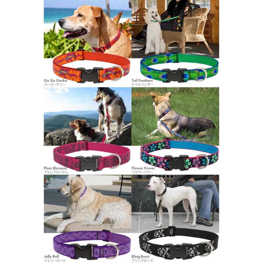 犬 首輪 ルパイン アジャスタブルカラー M Lサイズ 2 5cm幅 首周り40 6 71 1cm 16 28インチ ワンタッチカラー メール便ok Lupine Usa直輸入 Lupine Ad 25ml Dear Dogs 犬のセレクトショップ 通販 Yahoo ショッピング