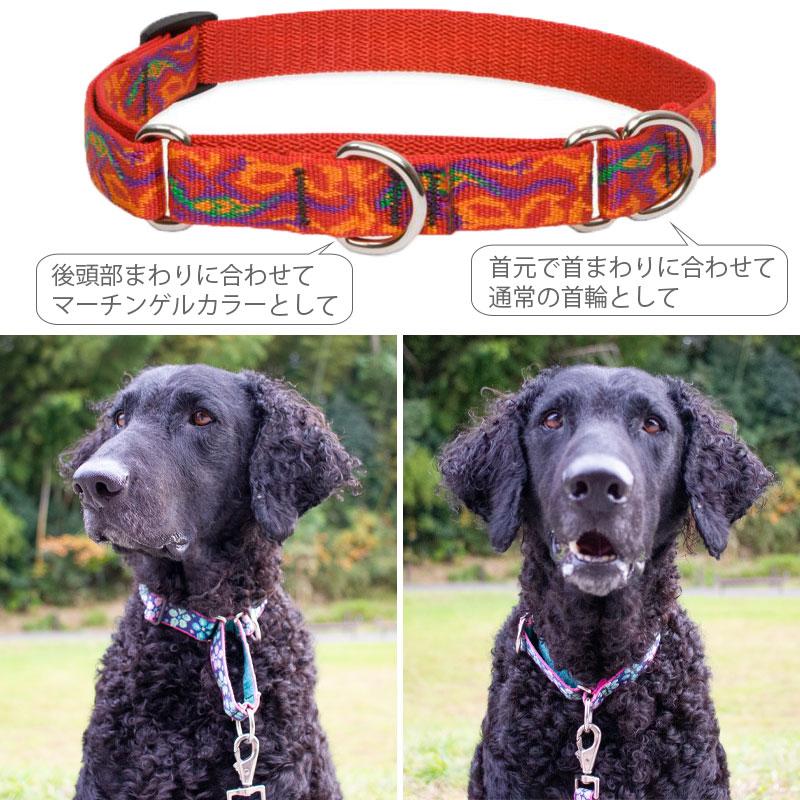 犬 首輪 ハーフチョーク マーチンゲールカラー Lupine ルパイン