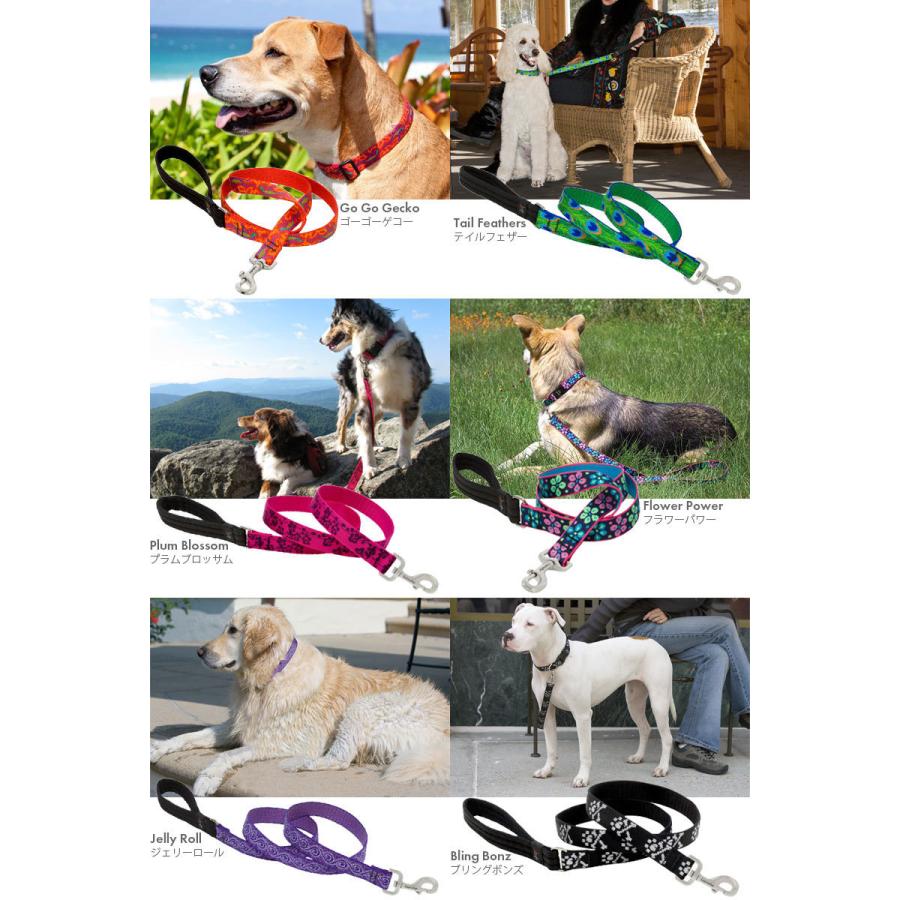 ナイロンリード ルパイン パドルハンドルリード 幅2 5cm 長さ1cm 持ち手クッション入り 中型犬用 大型犬用 メール便ok Lupine 輸入 Lupine Lead 25x1 Dear Dogs 犬のセレクトショップ 通販 Yahoo ショッピング