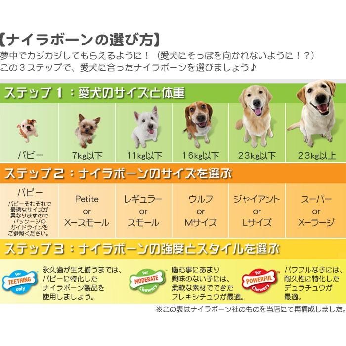 Nylabone ナイラボーン デンタルチュウ ダイナソー レギュラーサイズ 小型犬用 Usa直輸入 犬用おもちゃ 噛むオモチャ Nylabone Dino Reg Dear Dogs 犬のセレクトショップ 通販 Yahoo ショッピング