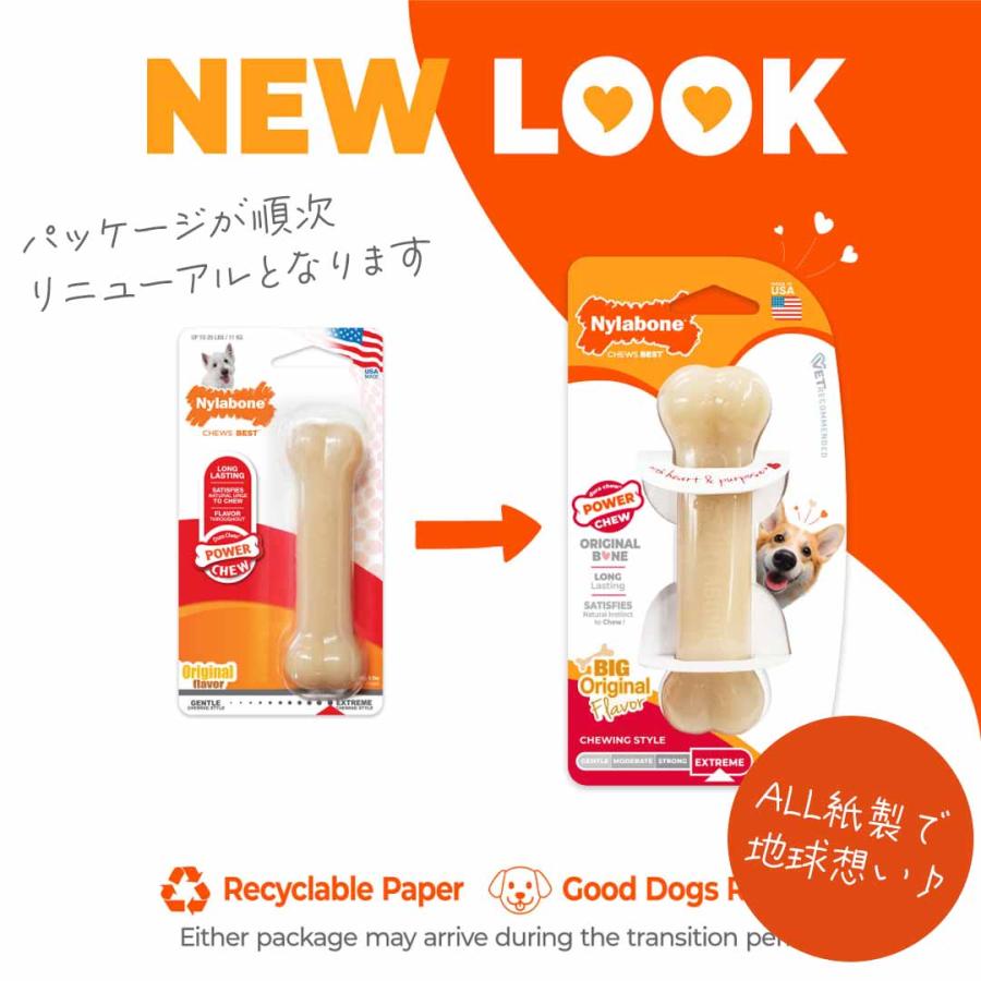 Nylabone ナイラボーン デュラチュウ ボーン レギュラーサイズ 犬用おもちゃ 噛むおもちゃ 頑丈 長持ち 海外ブランド 輸入 メール便OK oyom |  | 04
