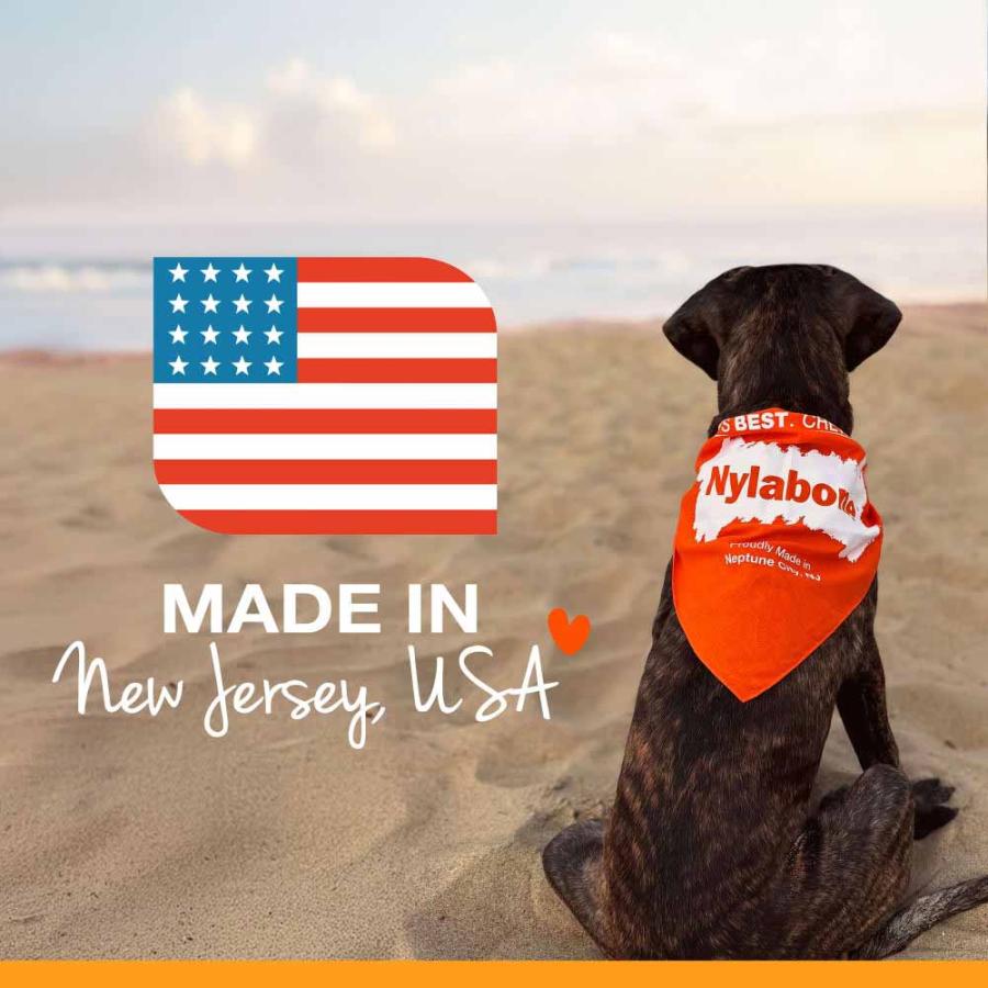 Nylabone ナイラボーン デュラチュウ ボーン レギュラーサイズ 犬用おもちゃ 噛むおもちゃ 頑丈 長持ち 海外ブランド 輸入 メール便OK 0801 |  | 05