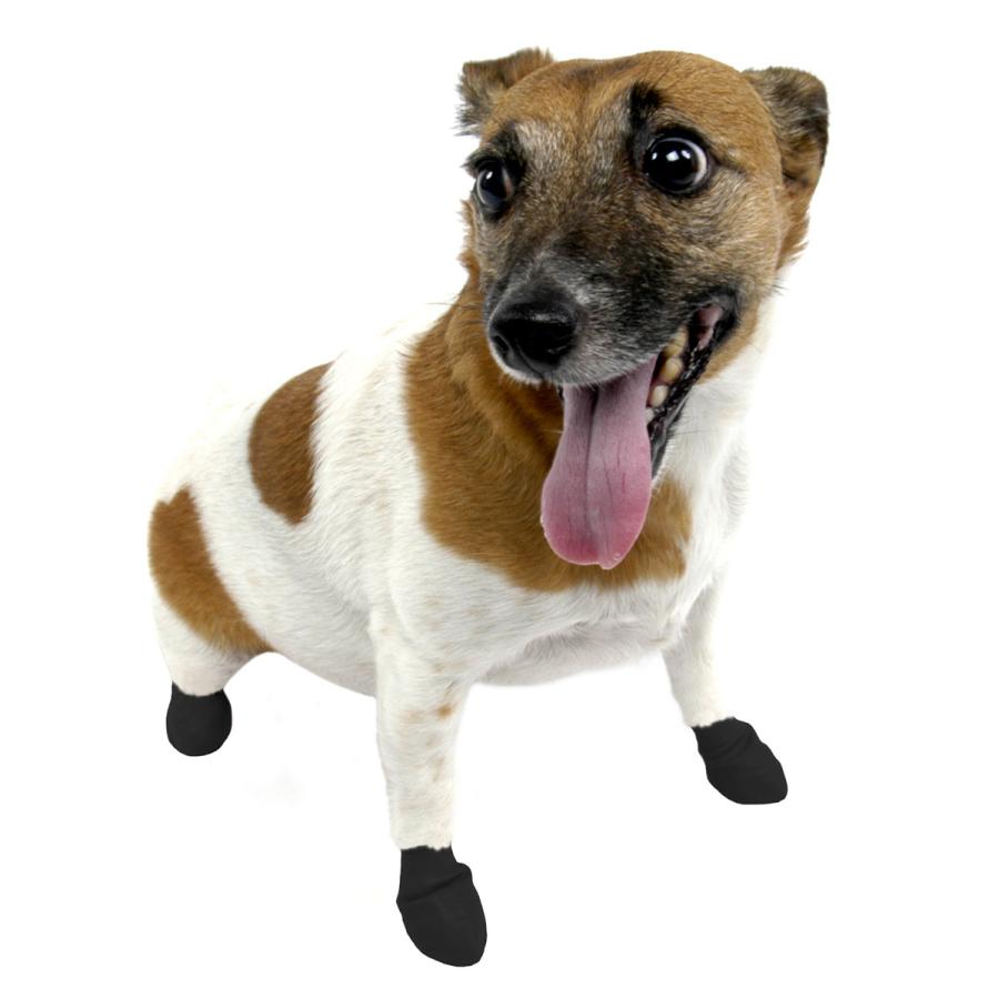 Pawz ラバードッグブーツ ブラック Xsサイズ 12枚入 4本足3回分 予約 小型犬向け 犬用 保護 ブーツ 滑り止め パウズ ポウズ 肉球 アウトドア