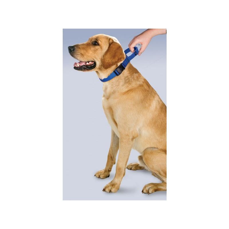 犬 首輪 マーチンゲル プレミアカラー With クイックスナップ ｓサイズ 幅1 9cm Petsafe 小型犬 ハーフチョーク メール便ok 輸入 後頭部周り 3cm 30 4cm Pcollarcs 19s Dear Dogs 犬のセレクトショップ 通販 Yahoo ショッピング