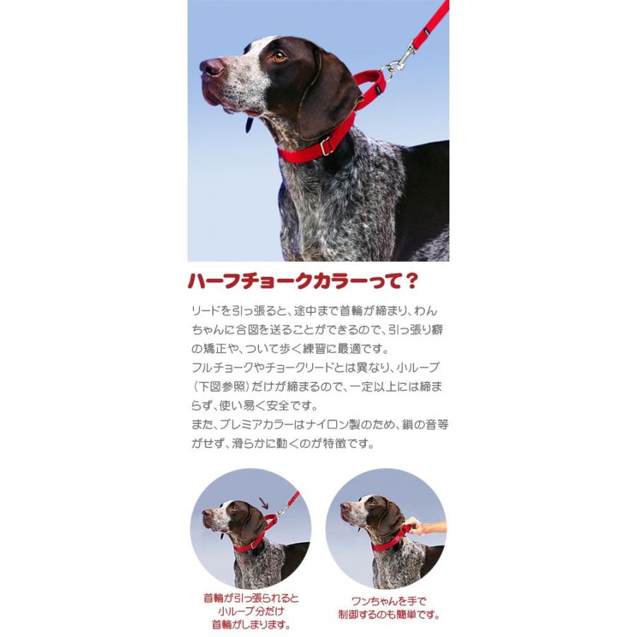 犬 首輪 マーチンゲル プレミアカラー With クイックスナップ ｓサイズ 幅1 9cm Petsafe 小型犬 ハーフチョーク メール便ok 輸入 後頭部周り 3cm 30 4cm Pcollarcs 19s Dear Dogs 犬のセレクトショップ 通販 Yahoo ショッピング