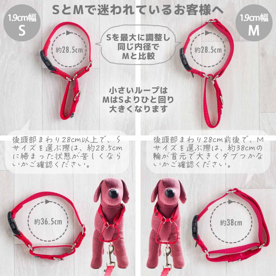 PetSafe 小型犬 ハーフチョーク ナイロン 首輪 バックル付き ペット