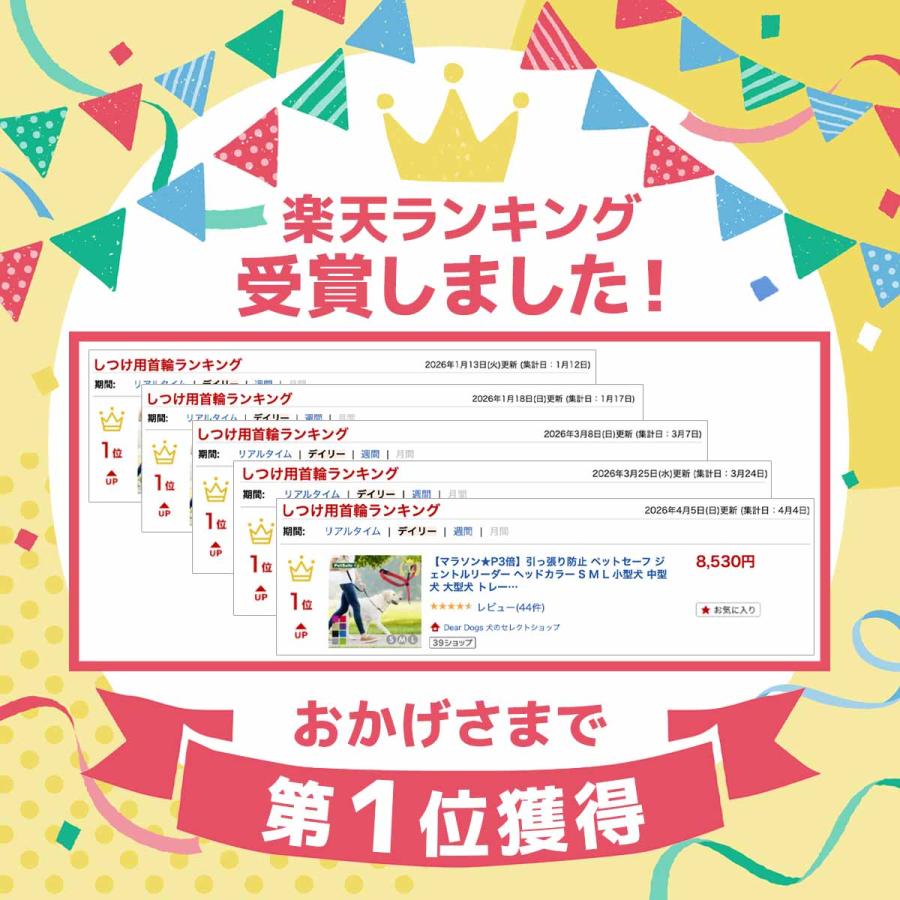 PetSafe 引っ張り防止 ペットセーフ ジェントルリーダー ヘッドカラー