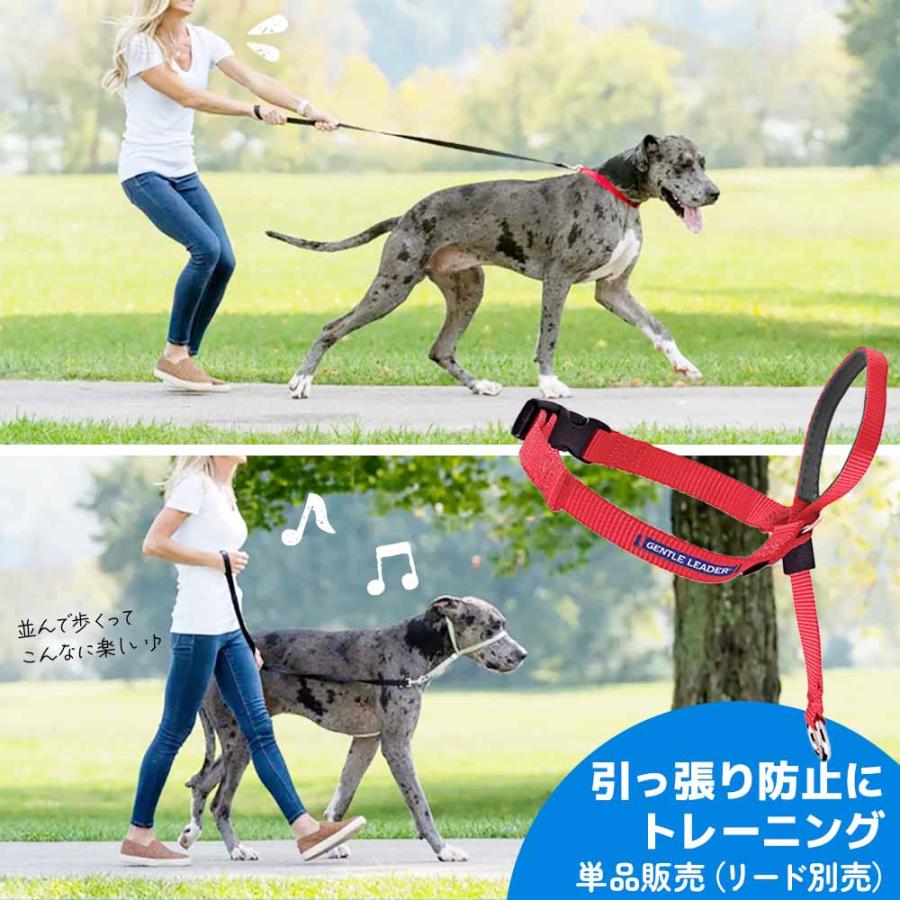 PetSafe 引っ張り防止 ペットセーフ ジェントルリーダー ヘッドカラー