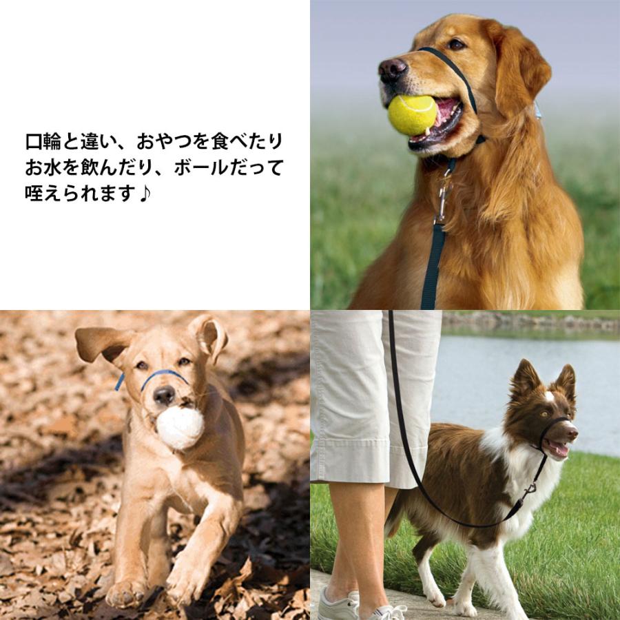 PetSafe 引っ張り防止 ペットセーフ ジェントルリーダー ヘッドカラー