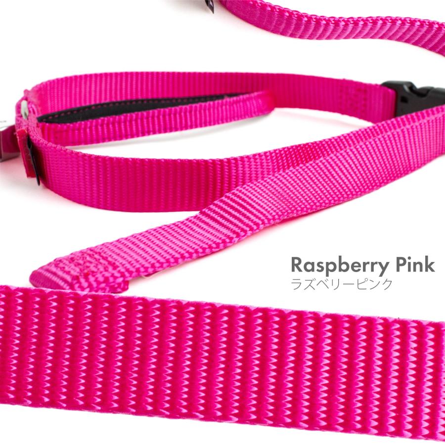 PetSafe 引っ張り防止 ペットセーフ ジェントルリーダー ヘッドカラー