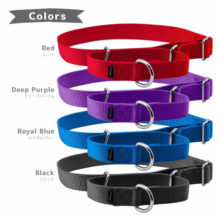 PetSafe 大型犬 首輪 ハーフチョークカラー ペットセーフ プレミア