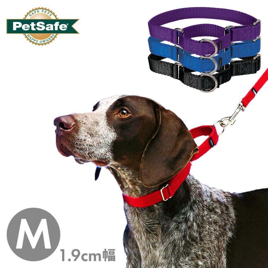 PetSafe 中型犬 首輪 ハーフチョークカラー ペットセーフ プレミア