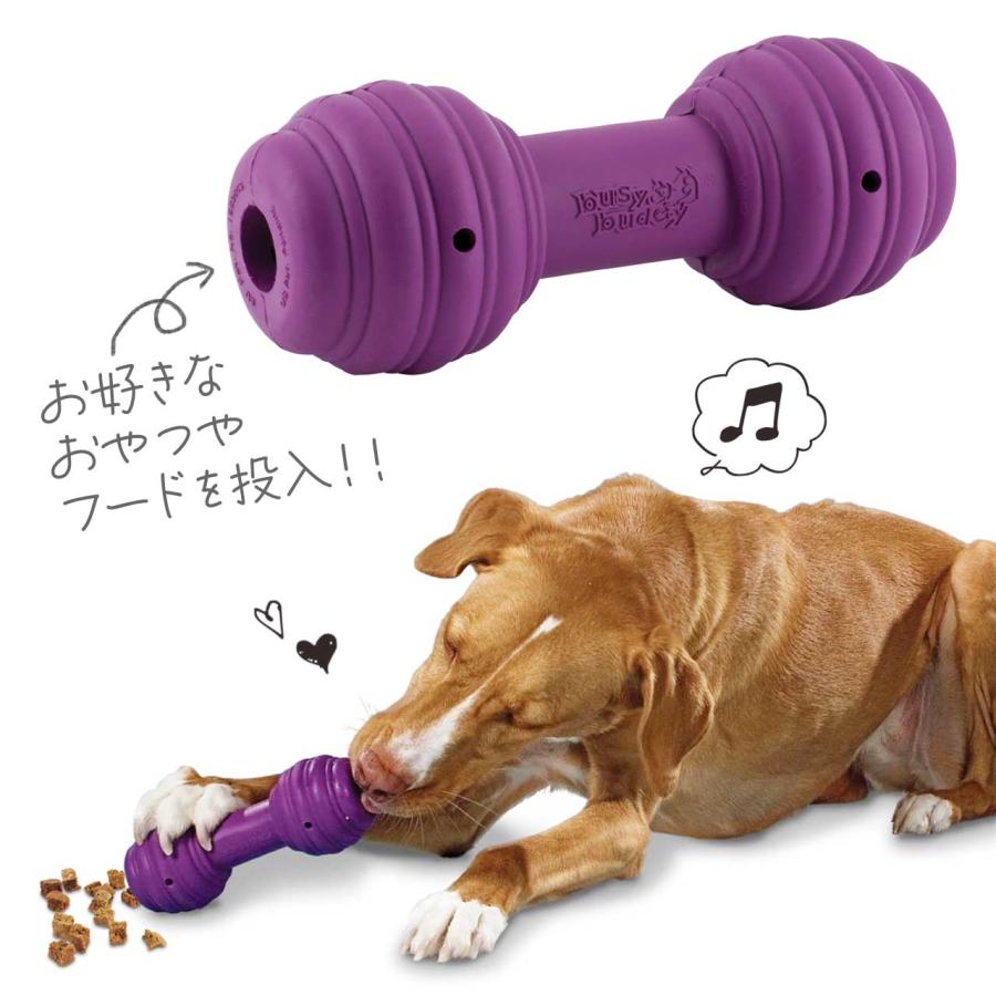 PetSafe ペットセーフ ビジーバディ チャックル 中型犬 大型犬 頑丈なおもちゃ ノーズワーク 知育トイ シェイク Chuckle 海外ブランド 輸入品 0820 |  | 02
