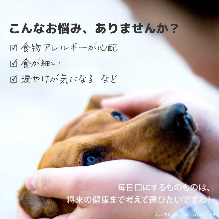 【訳あり】【クーポンで10%OFF】期限2026/08/18 ソルビダ ドッグフード 体重管理用 5.8kg ライト グレインフリー チキン 低脂肪 低カロリー オーガニック_5