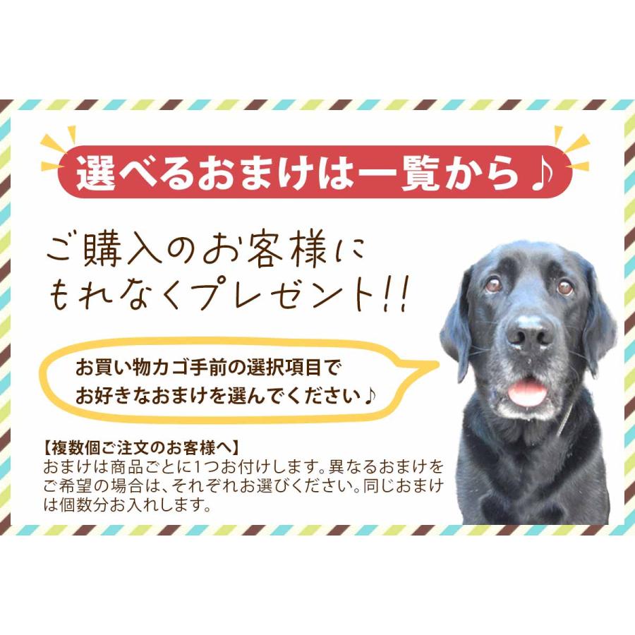 ソルビダ（SOLVIDA） ドッグフード シニア 3.6kg 7歳以上用 グレイン