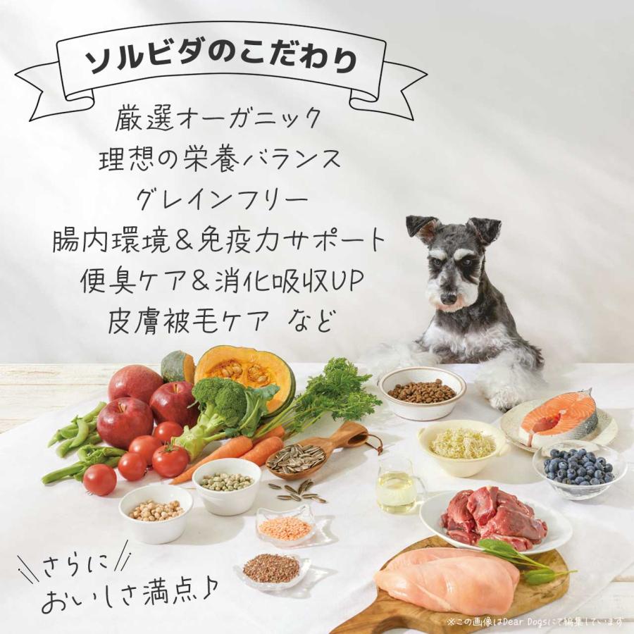 ソルビダ（SOLVIDA） ドッグフード シニア 3.6kg 7歳以上用 グレイン