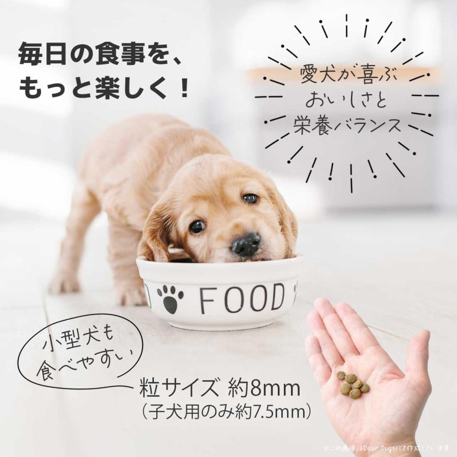 ソルビダ（SOLVIDA） ドッグフード シニア 3.6kg 7歳以上用 グレイン