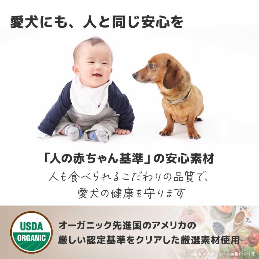 ソルビダ（SOLVIDA） ドッグフード シニア 3.6kg 7歳以上用 グレイン