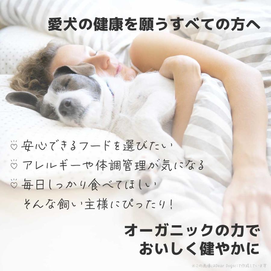 ソルビダ（SOLVIDA） ドッグフード シニア 3.6kg 7歳以上用 グレイン