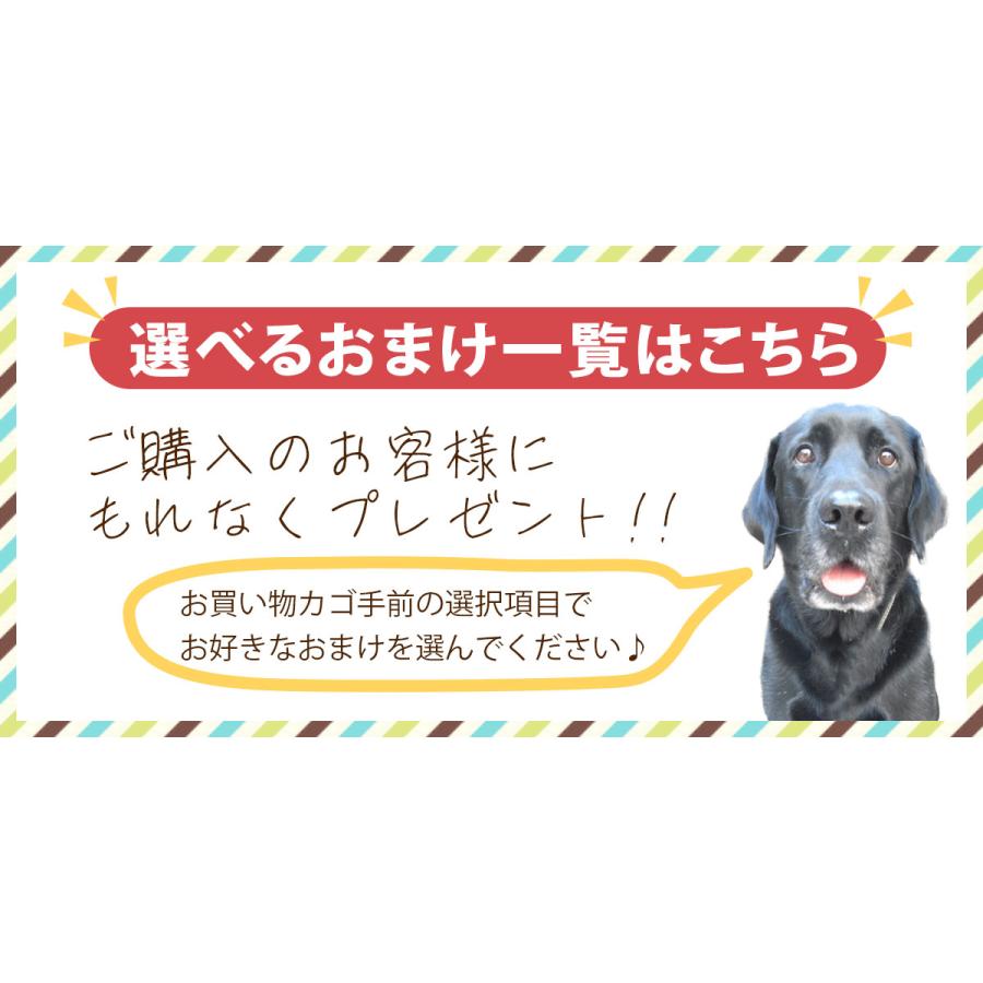 ソルビダ ドッグフード シニア 5.8kg 送料無料 選べるおまけ付 グレインフリー 7歳以上用 オーガニック プレミアムフード そるびだ｜deardogs｜10