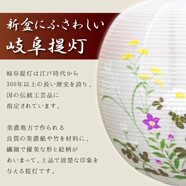 盆提灯 盆ちょうちん 初盆 新盆 モダン Led 新型 国産 白 青 岐阜提灯 7色led 省エネ 省電力 お盆用品 お盆 ぼんちょうちん 人気 F00o2122 手元供養のディアファミリー 通販 Yahoo ショッピング