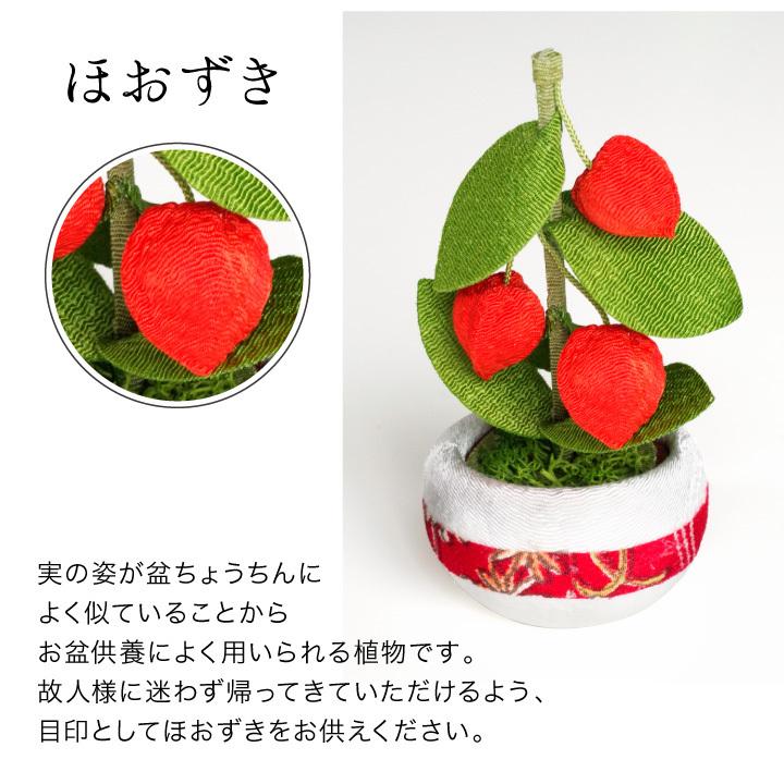 お盆供養 ちりめん 精霊馬 ほおずき お盆飾り セット 国産 きゅうり なす お盆用品 新盆 初盆 手元供養 かわいい 和風 ミニチュア おしゃれ 57 57 F00ry016 手元供養のディアファミリー 通販 Yahoo ショッピング