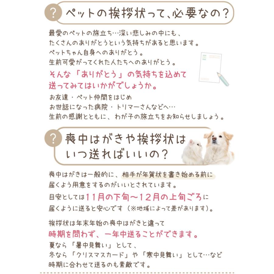 ペット 挨拶状 喪中はがき 自由な 文章 カスタムタイプ オーダーメイド 名入れ 10枚 セット かわいい おしゃれ オリジナル ネコポス対応 F C ペット仏壇 仏具のディアペット 通販 Yahoo ショッピング