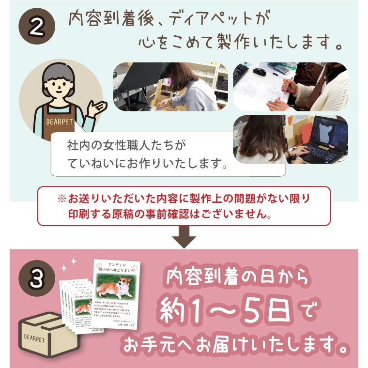 市場 ペット 写真入り 10枚 ペット用 お名前 セット ネコポス対応 喪中はがき 葉書 印刷 メッセージ 手紙 名入れ無料 喪中 ハガキ