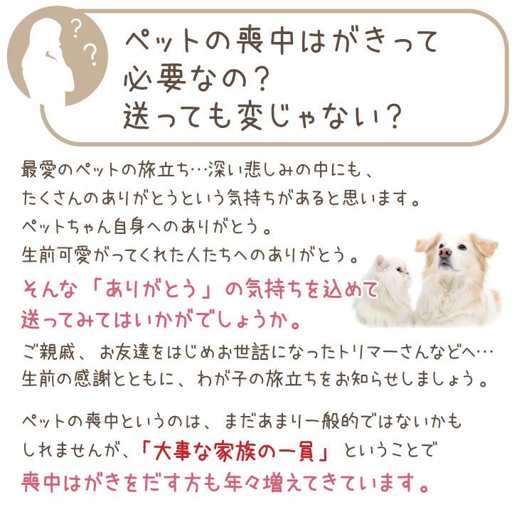 ペット 喪中はがき 印刷 名入れ無料 10枚 セット 犬 猫 うさぎ ハムスター オーダー メモリアル かわいい おしゃれ オリジナル ネコポス対応 F M ペット仏壇 仏具のディアペット 通販 Yahoo ショッピング