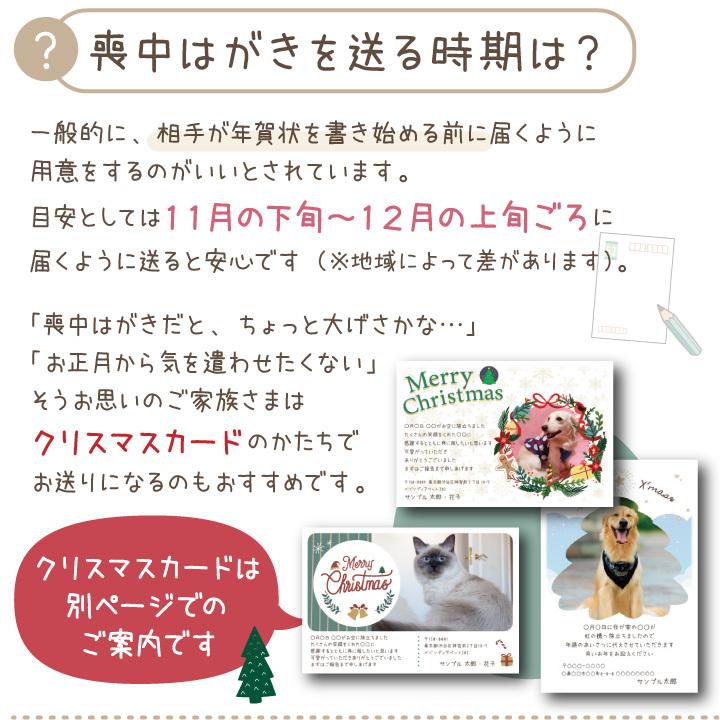 市場 ペット 喪中はがき 10枚 名入れ無料 お名前 印刷 手紙 セット メッセージ 喪中 写真入り ネコポス対応 葉書 ペット用 ハガキ