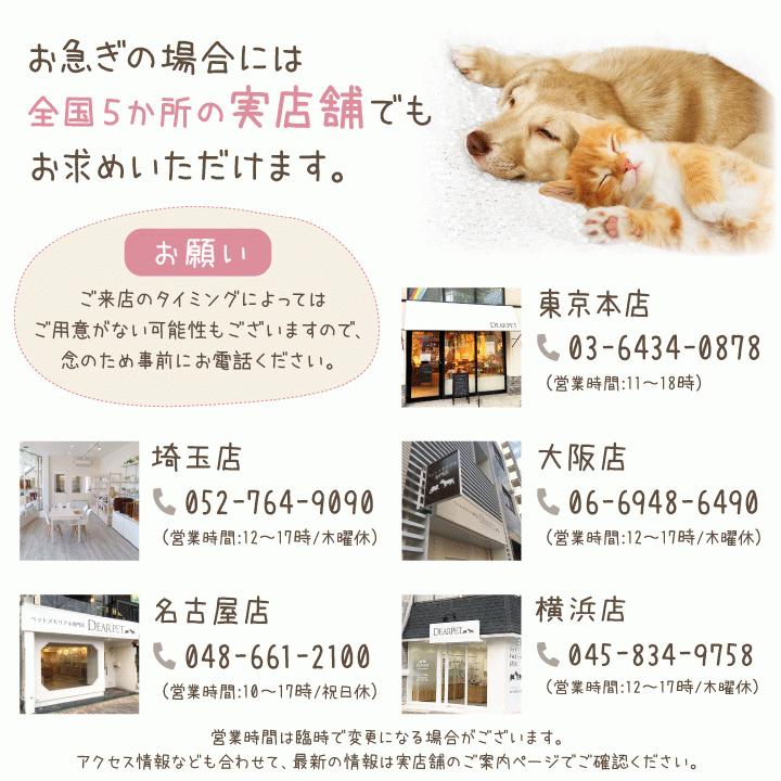 ペット用 棺 86 52 30cm お別れ布団 セット そのまま火葬できる 桐製 大型犬 F ペット仏壇 仏具のディアペット 通販 Yahoo ショッピング