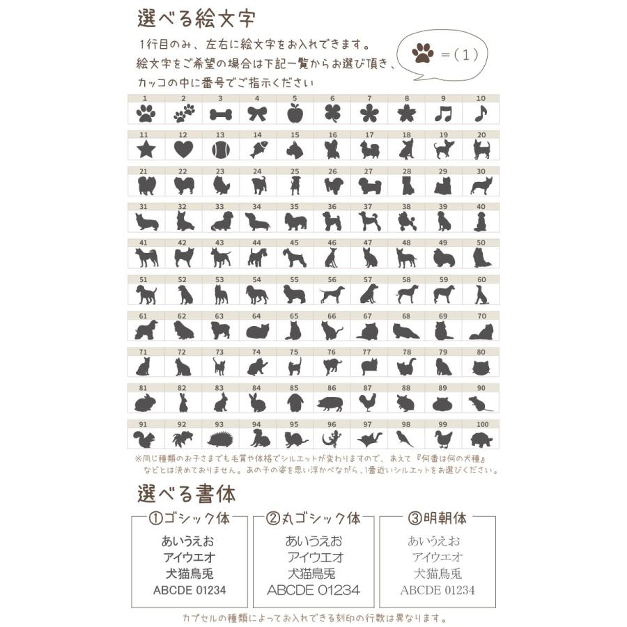3行刻印 ペット 遺骨カプセル 足あと チャーム 付 巾着 ガラス ボトル セット キーホルダー S 名入れ メモリアルグッズ ネコポス対応 F00cap01 K ペット仏壇 仏具のディアペット 通販 Yahoo ショッピング