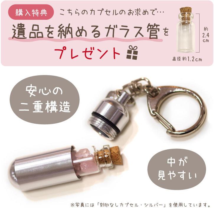 ペット 遺骨カプセル 足あと チャーム 巾着 ガラス ボトル セット キーホルダー S メモリアルグッズ ペットの骨 収納 犬 猫 肉球 ネコポス対応 F00cap06 ペット仏壇 仏具のディアペット 通販 Yahoo ショッピング