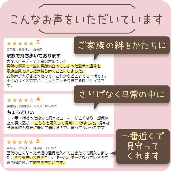 刻印 ペット 遺骨ペンダント メタリックミニ ネックレス 3色 遺骨カプセル 骨 遺骨 遺毛 遺灰 分骨 形見 名入れ ペンダント ネックレス ケース ネコポス対応 F00da03 K ペット仏壇 仏具のディアペット 通販 Yahoo ショッピング