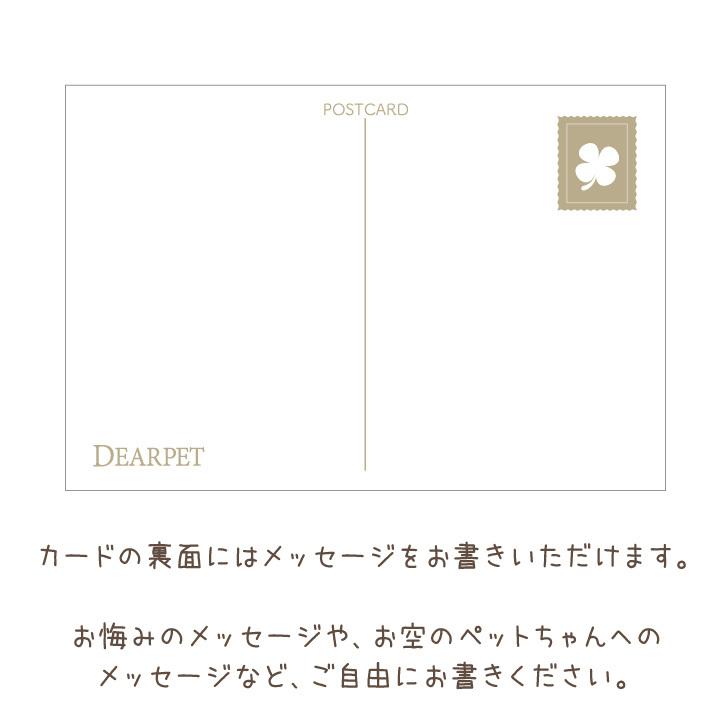 ラッピング付 ペット うさぎ おしゃれ お供え お悔やみ かわいい ろうそく ギフト クッキー セット ネコポス送料無料 プレゼント ペットロス ポストカード メッセージ メモリアルグッズ 犬 猫 線香 葉書 虹の橋のたもと 虹の橋カード付 贈り物 後払い手数料無料 お悔やみ