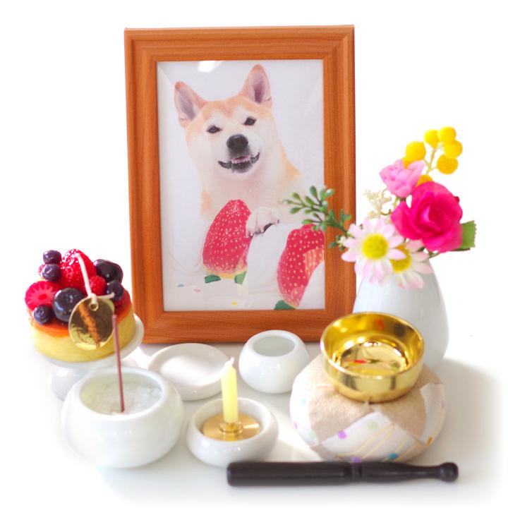 ペット仏具 ドルチェキャンドル フルーツタルト お供え ろうそく 甘い香り 本物そっくり ベリー F00k73 ペット仏壇 仏具のディアペット 通販 Yahoo ショッピング