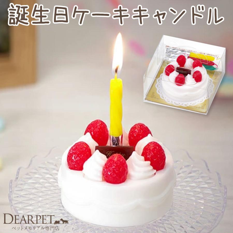 ペット仏具 誕生日 ケーキ キャンドル お供え 本物そっくり かわいい 記念日 スイーツ ろうそく（Yahoo!・ペット仏壇・仏具のディアペット）