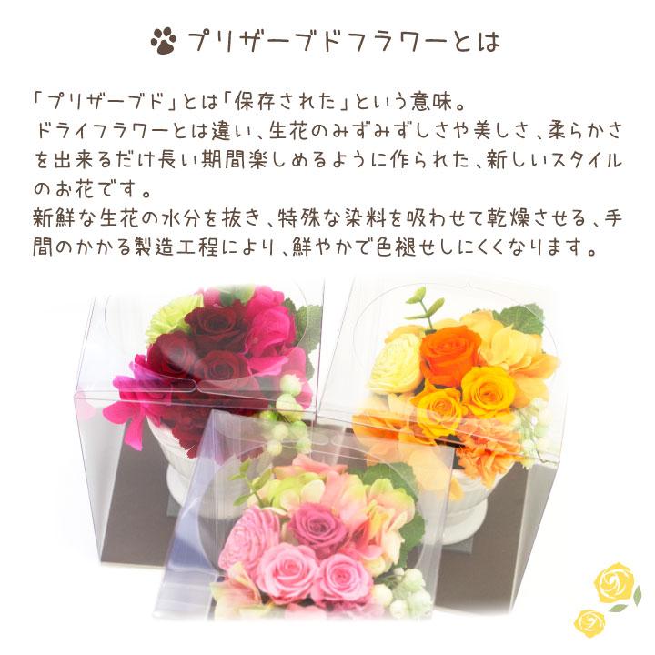 ペット お悔やみ プリザーブドフラワー ミニローズ レッド オレンジ ピンク 供花 プリザ フラワー ブリザードフラワー 虹の橋 贈り物 自宅用 仏花 お供え ギフト F00pf05 ペット仏壇 仏具のディアペット 通販 Yahoo ショッピング